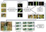 Deep Learning-Based System for Automatic Recognition and Diagnosis of Electrical Insulator Strings