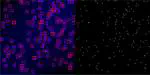 Zenithal isotropic object counting by localization using adversarial training